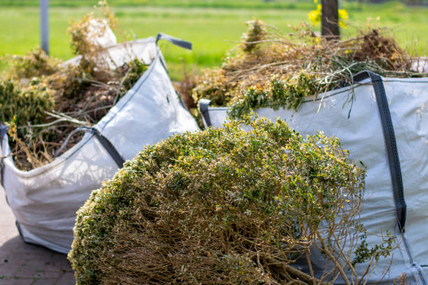 Best Construction Debris Removal  in Glyndon, MN